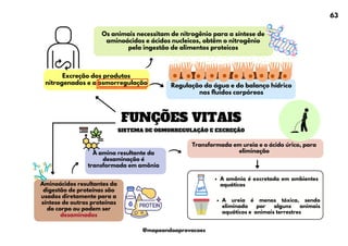 Excreção dos produtos
nitrogenados e a osmorregulação
FUNÇÕES VITAIS
SISTEMA DE OSMORREGULAÇÃO E EXCREÇÃO
Os animais necessitam de nitrogênio para a síntese de
aminoácidos e ácidos nucleicos, obtêm o nitrogênio
pela ingestão de alimentos proteicos
Regulação da água e do balanço hídrico
nos fluidos corpóreos
Aminoácidos resultantes da
digestão de proteínas são
usados diretamente para a
síntese de outras proteínas
do corpo ou podem ser
desaminados
A amina resultante da
desaminação é
transformada em amônia
Transformada em ureia e o ácido úrico, para
eliminação
A amônia é excretada em ambientes
aquáticos
A ureia é menos tóxica, sendo
eliminada por alguns animais
aquáticos e animais terrestres
63
@mapeandoaprovacoes
 