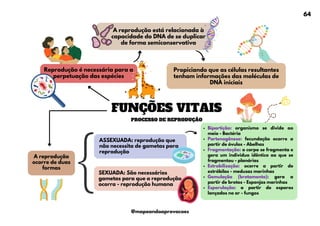 FUNÇÕES VITAIS
PROCESSO DE REPRODUÇÃO
Reprodução é necessária para a
perpetuação das espécies
A reprodução está relacionada à
capacidade do DNA de se duplicar
de forma semiconservativa
Propiciando que as células resultantes
tenham informações das moléculas de
DNA iniciais
A reprodução
ocorre de duas
formas
ASSEXUADA: reprodução que
não necessita de gametas para
reprodução
SEXUADA: São necessários
gametas para que a reprodução
ocorra - reprodução humana
Bipartição: organismo se divide ao
meio - Bactéria
Partenogênese: fecundação ocorre a
partir de óvulos - Abelhas
Fragmentação: o corpo se fragmenta e
gera um individuo idêntico ao que se
fragmentou - planárias
Estrobilização: ocorre a partir de
estróbilos - medusas marinhas
Gemulação (brotamento): gera a
partir de brotos - Esponjas marinhas
Esporulação: a partir de esporos
lançados no ar - fungos
64
@mapeandoaprovacoes
 