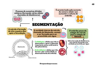 O embrião passa do
estágio de mórula
para o estágio de
blástula
SEGMENTAÇÃO
Processo de sucessivas divisões
celulares (formando várias células
chamadas de blastômeros)
É caracterizado pelo aumento
do número celular sem
aumentar o volume do
embrião
A mórula é formada
de três a quatro dias
após a fecundação
A cavidade interna da mórula,
chamada de blastocele, começa
a ser formada para ser
preenchida com água
Esfera formada de blastômeros,
com interior formando uma
cavidade preenchida por água
Trofoblastos: células que irão se
desenvolver e gerar a placenta,
importante anexo embrionário
dos placentários
Embrioblastos: células que irão
formar e dar continuidade no
desenvolvimento do embrião
68
@mapeandoaprovacoes
 