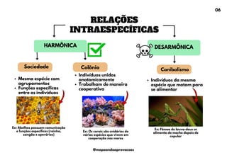RELAÇÕES
INTRAESPECÍFICAS
DESARMÔNICA
HARMÔNICA
Sociedade
Canibalismo
Indivíduos da mesma
espécie que matam para
se alimentar
Colônia
Indivíduos unidos
anatomicamente
Trabalham de maneira
cooperativa
Mesma espécie com
agrupamentos
Funções específicas
entre os indivíduos
Ex: Fêmea de louva-deus se
alimenta do macho depois de
copular
Ex: Abelhas possuem comunicação
e funções específicas (rainha,
zangão e operários)
Ex: Os corais são cnidários de
várias espécies que vivem em
cooperação nos mares
06
@mapeandoaprovacoes
 