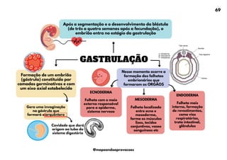 Formação de um embrião
(gástrula) constituído por
camadas germinativas e com
um eixo axial estabelecido
Gera uma invaginação
na gástrula que
formará o arquêntero
Nesse momento ocorre a
formação dos folhetos
embrionários que
formaram os ORGÃOS
GASTRULAÇÃO
Após a segmentação e o desenvolvimento da blástula
(de três a quatro semanas após a fecundação), o
embrião entra no estágio da gastrulação
Cavidade que dará
origem ao tubo do
sistema digestório
ECNODERMA
Folheto com o meio
externo responsável
para a epiderme,
sistema nervoso
MESODERMA
Folheto localizado
entre ecno e
mesoderma,
forma os músculos
lisos, tecidos
conjuntivos, vasos
sanguíneos etc
ENDODERMA
Folheto mais
interno, formação
de revestimentos,
como vias
respiratórias,
trato intestinal,
glândulas
69
@mapeandoaprovacoes
 