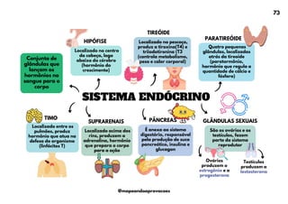 SISTEMA ENDÓCRINO
TIMO
Ovários
produzem o
estrogênio e a
progesterona
HIPÓFISE
Conjunto de
glândulas que
lançam os
hormônios no
sangue para o
corpo
Localizado no centro
da cabeça, logo
abaixo do cérebro
(hormônio do
crescimento)
PARATIREÓIDE
Quatro pequenas
glândulas, localizadas
atrás da tireoide
(paratormônio,
hormônio que regula a
quantidade de cálcio e
fósforo)
TIREÓIDE
Localizado no pescoço,
produz a tiroxina(T4) e
triiodotironina (T3
(controla metabolismo,
peso e calor corporal)
Localizado entre os
pulmões, produz
hormônio que atua na
defesa do organismo
(linfócitos T)
PÂNCREAS
É anexa ao sistema
digestório, responsável
pela produção de suco
pancreático, insulina e
glucagon
SUPRARENAIS
Localizado acima dos
rins, produzem a
adrenalina, hormônio
que prepara o corpo
para a ação
GLÂNDULAS SEXUAIS
São os ovários e os
testículos, fazem
parte do sistema
reprodutor
Testículos
produzem a
testosterona
73
@mapeandoaprovacoes
 
