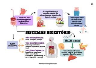 SISTEMAS DIGESTÓRIO
Conhecido por
Sistema Digestivo
ou Aparelho
Digestivo
Ocorre por meio
de processos
químicos e
mecânicos do
corpo
TUBO
DIGESTIVO
ÓRGÃOS ANEXOS
Se relaciona com a
transformação do
alimento para a captação
de nutrientes
Glândulas salivares,
dentes, língua, pâncreas,
fígado e vesícula biliar
TUBO DIGESTÓRIO ALTO:
Boca, faringe e esôfago
TUBO DIGESTÓRIO MÉDIO:
Estômago e intestino
delgado (duodeno, jejuno e
íleo)
TUBO DIGESTÓRIO BAIXO:
Intestino grosso (ceco,
cólon ascendente,
transverso, descendente, a
curva sigmoide e o reto)
75
@mapeandoaprovacoes
 