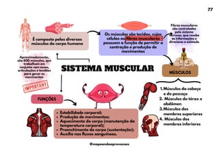 Fibras musculares
são controladas
pelo sistema
nervoso, que recebe
as informações e
direciona o estímulo
Os músculos são tecidos, cujas
células ou fibras musculares
possuem a função de permitir a
contração e produção de
movimentos
SISTEMA MUSCULAR
FUNÇÕES
É composto pelos diversos
músculos do corpo humano
Estabilidade corporal;
Produção de movimentos;
Aquecimento do corpo (manutenção da
temperatura corporal);
Preenchimento do corpo (sustentação);
Auxílio nos fluxos sanguíneos.
Aproximadamente,
são 600 músculos, que
trabalham em
conjunto com ossos,
articulações e tendões
para gerar os
movimentos
Músculos da cabeça
e do pescoço
1.
Músculos do tórax e
abdômen
2.
Músculos dos
membros superiores
3.
Músculos dos
membros inferiores
4.
MÚSCULOS
77
@mapeandoaprovacoes
 