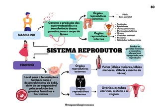 Testículos
Epidídimos
Ductos deferentes
Ductos ejaculatórios
Uretra
Vesículas seminais
Próstata
Glândulas bulbouretrais
SISTEMA REPRODUTOR
FEMININO
Vulva (lábios maiores, lábios
menores, clitóris e monte de
vênus)
MASCULINO
Local para a fecundação e
também para o
desenvolvimento do bebê,
além de ser responsável
pela produção dos
gametas femininos e
hormônios
Órgãos
reprodutivos
externos
Garante a produção dos
espermatozoides e a
transferência desses
gametas para o corpo da
fêmea
Produz os
gametas femininos
e masculino,
oferece local
apropriado para
reprodução
Órgãos
reprodutivos
internos
Pênis
Saco escrotal
Órgãos
reprodutivos
externos
Órgãos
reprodutivos
internos
Ovários, as tubas
uterinas, o útero e a
vagina
80
@mapeandoaprovacoes
 