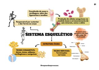 ESTRUTURA ÓSSEA
SISTEMA ESQUELÉTICO
Constituído de ossos e
cartilagens, além dos
ligamentos e tendões
Responsável por sustentar
e dar forma ao corpo
Produção de células sanguíneas na
medula óssea e armazenamento de
sais minerais, como o cálcio
TECIDO CONJUNTIVO:
denso, ósseo, adiposo,
cartilaginoso e sanguíneo
O osso é uma
estrutura viva, tem
alto poder de
cicatrização
TECIDO NERVOSO:
Terminações
nervosas
81
@mapeandoaprovacoes
 