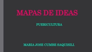 MAPAS DE IDEAS
PUERICULTURA
MARIA JOSE CUMBE SAQUISILI.
 