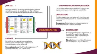 Mapas--Mentales (1).pdf ayuda para la ciencia | PDF