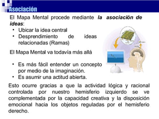 Asociación   El Mapa Mental procede mediante   la     asociación de ideas : Ubicar la idea central Desprendimiento de ideas relacionadas (Ramas) El Mapa Mental va todavía más allá  Es más fácil entender un concepto por medio de la imaginación.  Es asumir una actitud abierta. Esto ocurre gracias a que la actividad lógica y racional controlada por nuestro hemisferio izquierdo se ve complementada por la capacidad creativa y la disposición emocional hacia los objetos reguladas por el hemisferio derecho.  