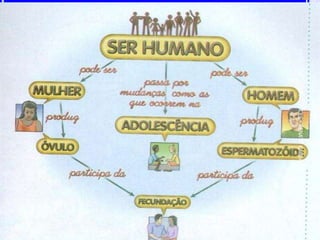 17/11/2015
15
TDMA-ASCES-RENATOCABRAL
 