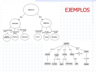 EJEMPLOS  