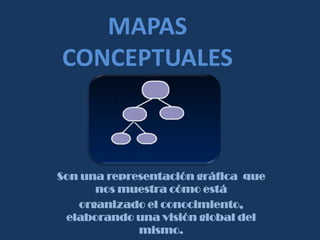 MAPAS
CONCEPTUALES

Son una representación gráfica que
nos muestra cómo está
organizado el conocimiento,
elaborando una visión global del
mismo.

 