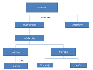 Animales

Pueden ser
Invertebrados

Vertebrado

Artrópodos

Insectos

Arácnidos

como

Hormiga

Escarabajo

Araña

 