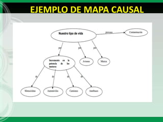 EJEMPLO DE MAPA CAUSAL
 