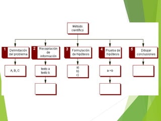 conseptos de Mapas conceptuales