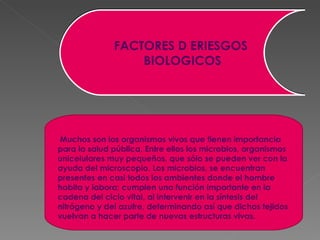 FACTORES D ERIESGOS  BIOLOGICOS Muchos son los organismos vivos que tienen importancia para la salud pública. Entre ellos los microbios, organismos unicelulares muy pequeños, que sólo se pueden ver con la ayuda del microscopio. Los microbios, se encuentran presentes en casi todos los ambientes donde el hombre habita y labora; cumplen una función importante en la cadena del ciclo vital, al intervenir en la síntesis del nitrógeno y del azufre, determinando así que dichos tejidos vuelvan a hacer parte de nuevas estructuras vivas.  