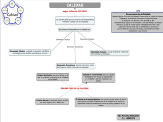 Mapas conceptuales calidad