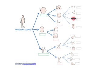 Mapas conceptuales cuerpo