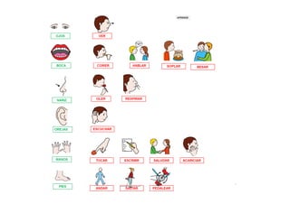 Mapas conceptuales cuerpo