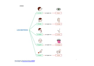 Mapas conceptuales cuerpo