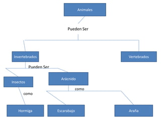 Animales
Invertebrados
Vertebrados
Pueden Ser
Insectos
Arácnido
como
Hormiga
Escarabajo
Araña