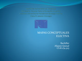 MAPAS CONCEPTUALES
ELECTIVA
Bachiller
Alianni Quinal
CI:18.274.523
 