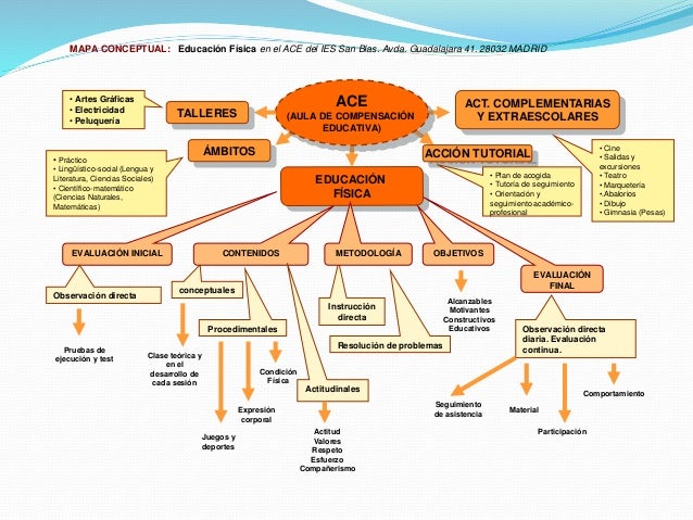 Mapas conceptuales educación física