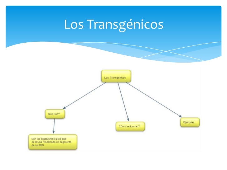 Mapas conceptuales elaborados por los estudiantes