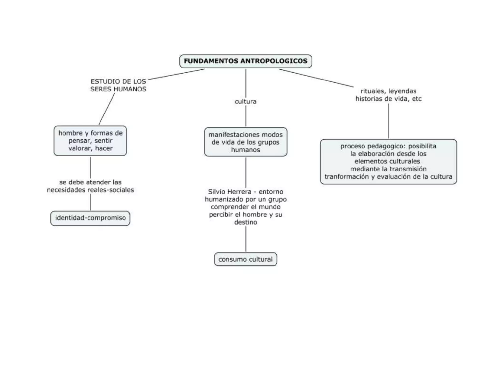 Mapas conceptuales fundamentos del curriculo