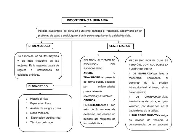Mapas conceptuales grandes síndromes geriátricos (1)