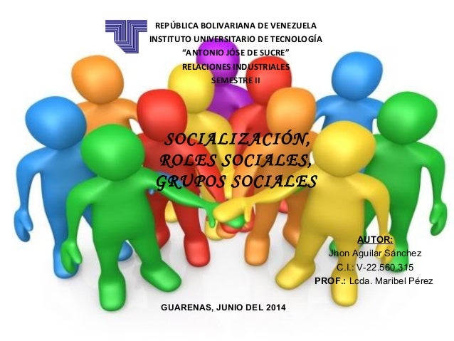 Mapas conceptual socialización roles sociales