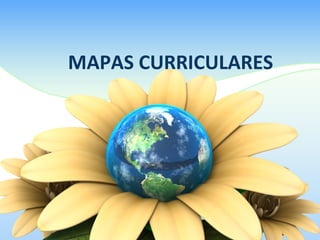 MAPAS CURRICULARES
 
