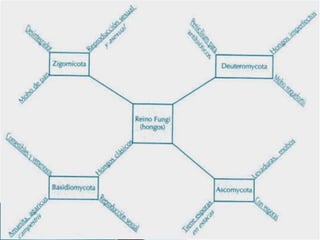 Mapas de agua mala y panal