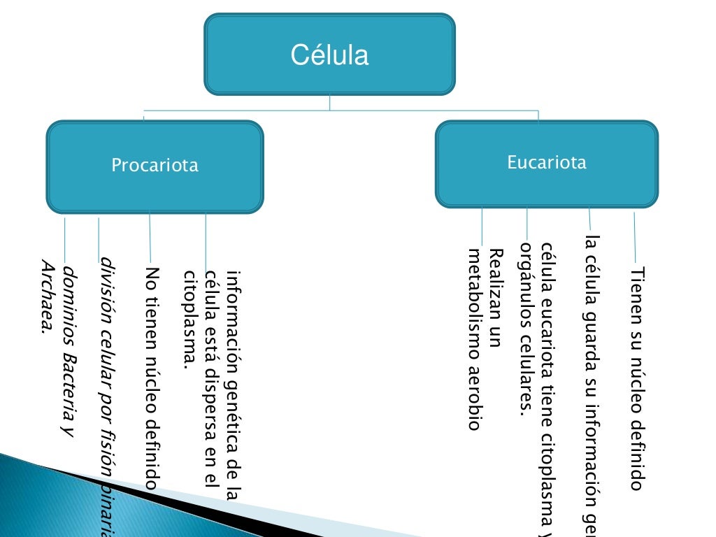 Mapas de agua mala y panal