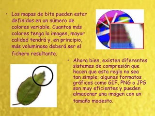 Los mapas de bits pueden estar definidos en un número de colores variable. Cuantos más colores tenga la imagen, mayor calidad tendrá y, en principio, más voluminoso deberá ser el fichero resultante.   Ahora bien, existen diferentes sistemas de compresión que hacen que esta regla no sea tan simple: algunos formatos gráficos como GIF, PNG o JPG son muy eficientes y pueden almacenar una imagen con un tamaño modesto.   