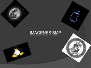 IMÁGENES BMP