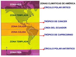 CÍRCULO POLAR ÁRTICO
TRÓPICO DE CÁNCER
LÍNEA DEL ECUADOR
TRÓPICO DE CAPRICORNIO
CÍRCULO POLAR ANTÁRTICO
ZONA FRÍA
ZONA FRÍA
ZONA TEMPLADA
ZONA TEMPLADA
ZONA CÁLIDA
ZONA CÁLIDA
ZONAS CLIMÁTICAS DE AMÉRICA
 
