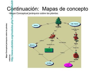 Continuación:  Mapas de concepto Mapa Conceptual jerárquico sobre las plantas. Mapa Conceptual jerárquico sobre las plantas.   CRÉDITOS: http://www.eduteka.org/modulos.php?catx=4&idSubX=88 