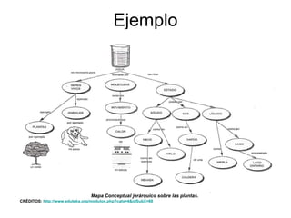 Ejemplo Mapa Conceptual jerárquico sobre las plantas.   CRÉDITOS:  http://www.eduteka.org/modulos.php?catx=4&idSubX=88 