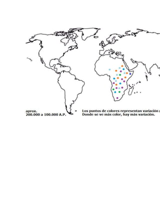 Mapas de diversidad genética