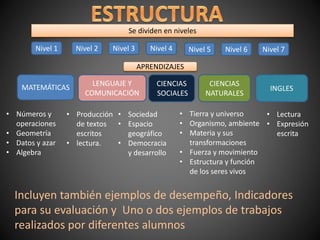 Se dividen en niveles
Nivel 1 Nivel 2 Nivel 3 Nivel 4 Nivel 5 Nivel 6 Nivel 7
APRENDIZAJES
MATEMÁTICAS
LENGUAJE Y
COMUNICACIÓN
CIENCIAS
SOCIALES
CIENCIAS
NATURALES
INGLES
• Números y
operaciones
• Geometría
• Datos y azar
• Algebra
• Producción
de textos
escritos
• lectura.
• Sociedad
• Espacio
geográfico
• Democracia
y desarrollo
• Tierra y universo
• Organismo, ambiente
• Materia y sus
transformaciones
• Fuerza y movimiento
• Estructura y función
de los seres vivos
• Lectura
• Expresión
escrita
Incluyen también ejemplos de desempeño, Indicadores
para su evaluación y Uno o dos ejemplos de trabajos
realizados por diferentes alumnos
 