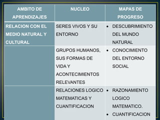 AMBITO DE              NUCLEO       MAPAS DE
  APRENDIZAJES                         PROGRESO

RELACION CON EL   SERES VIVOS Y SU    DESCUBRIMIENTO
MEDIO NATURAL Y   ENTORNO             DEL MUNDO
CULTURAL                              NATURAL
                  GRUPOS HUMANOS,     CONOCIMIENTO
                  SUS FORMAS DE       DEL ENTORNO
                  VIDA Y              SOCIAL
                  ACONTECIMIENTOS
                  RELEVANTES
                  RELACIONES LOGICO   RAZONAMIENTO
                  MATEMATICAS Y       LOGICO
                  CUANTIFICACION      MATEMATICO.
                                      CUANTIFICACION
 