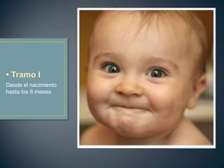 Desde el nacimiento
hasta los 6 meses.
 