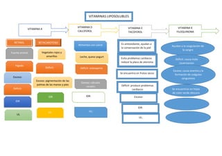 VITAMINAS LIPOSOLUBLES
VITAMINA A
VITAMINA D
CALCIFEROL
VITAMINA E
TACOFEROL
VITAMINA K
FILOQUINONA
RETINOL BETACAROTENO
Fuente animal
higado
Exceso: pigmentación de las
palmas de las manos y pies
Exceso:
Déficit:
Vegetales rojos y
amarillos
Déficit:
IDR
UL
UL:
IDR
Alimentos con calcio
Leche, queso yogurt
Déficit: osteopenia
Exceso: cálculos
renales
IDR:
UL:
Es antioxidante, ayudan a
la conservación de la piel
Déficit: produce problemas
cardiacos
Evita problemas cardiacos
reduce la placa de ateroma
Se encuentra en frutos secos
IDR:
Exceso:
UL:
Ayudan a la coagulación de
la sangre
Déficit: causa mala
cicatrizacion
Exceso: causa anemia y la
formación de coágulos
sanguineos
Se encuentran en hojas
de color verde obscuro
 