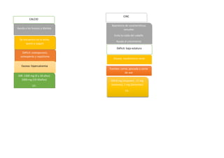 CALCIO
Déficit: osteoporosis,
osteopenia y raquitismo
Ayuda a los huesos y dientes
Se encuentra en la leche,
queso y yogurt
IDR:8 mg (mujeres) , 11 mg
(varones), 2 mg (lactantes)
UL:
Déficit: baja estatura
Apariencia de características
sexuales
Evita la caída del cabello
Ayuda al crecimiento
CINC
Exceso: hipercalcemia
IDR: 1300 mg (9 y 18 años)
1000 mg (19-50años)
UL:
Exceso: insuficiencia renal
Fuentes: carne, pescado y carne
de ave
 