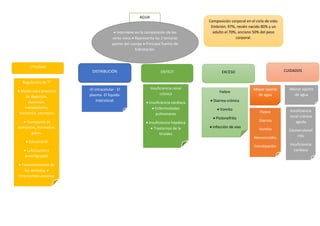AGUA
 Interviene en la composición de los
seres vivos  Representa las 2 terceras
partes del cuerpo  Principal fuente de
hidratación.
UTILIDAD
DISTRIBUCIÓN DEFICIT EXCESO
Composición corporal en el ciclo de vida:
Embrión: 97%, recién nacido 80% y un
adulto el 70%, anciano 50% del peso
corporal.
CUIDADOS
Regulación de T°
 Medio para procesos
de digestión,
absorción,
metabolismo,
excreción, secreción
 Transporte de
nutrientes, hormonas,
gases.
 Estructural.
 Lubricación y
amortiguador
 Funcionamiento de
los sentidos. 
Intercambio gaseoso
-El intracelular - El
plasma -El líquido
intersticial
Insuficiencia renal
crónica
 Insuficiencia cardiaca
 Enfermedades
pulmonares
 Insuficiencia hepática
 Trastornos de la
tiroides
Mayor aporte
de agua
Menor aporte
de agua
Fiebre
 Diarrea crónica
 Vomito
 Piolonefritis
 Infección de vías
urinarias.
Fiebre
Diarrea
Vomito
Hemorroides
Constipación
Insuficiencia
renal crónica
aguda
Glomerulonef
ritis
Insuficiencia
cardiaca
 