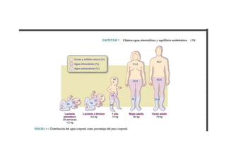 Mapas de salud alimentaria