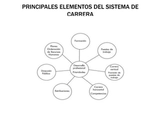 PRINCIPALES ELEMENTOS DEL SISTEMA DE
CARRERA
 