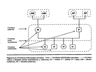 Mapas familiares 2011