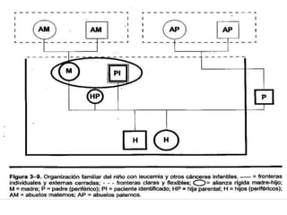 Mapas familiares 2011